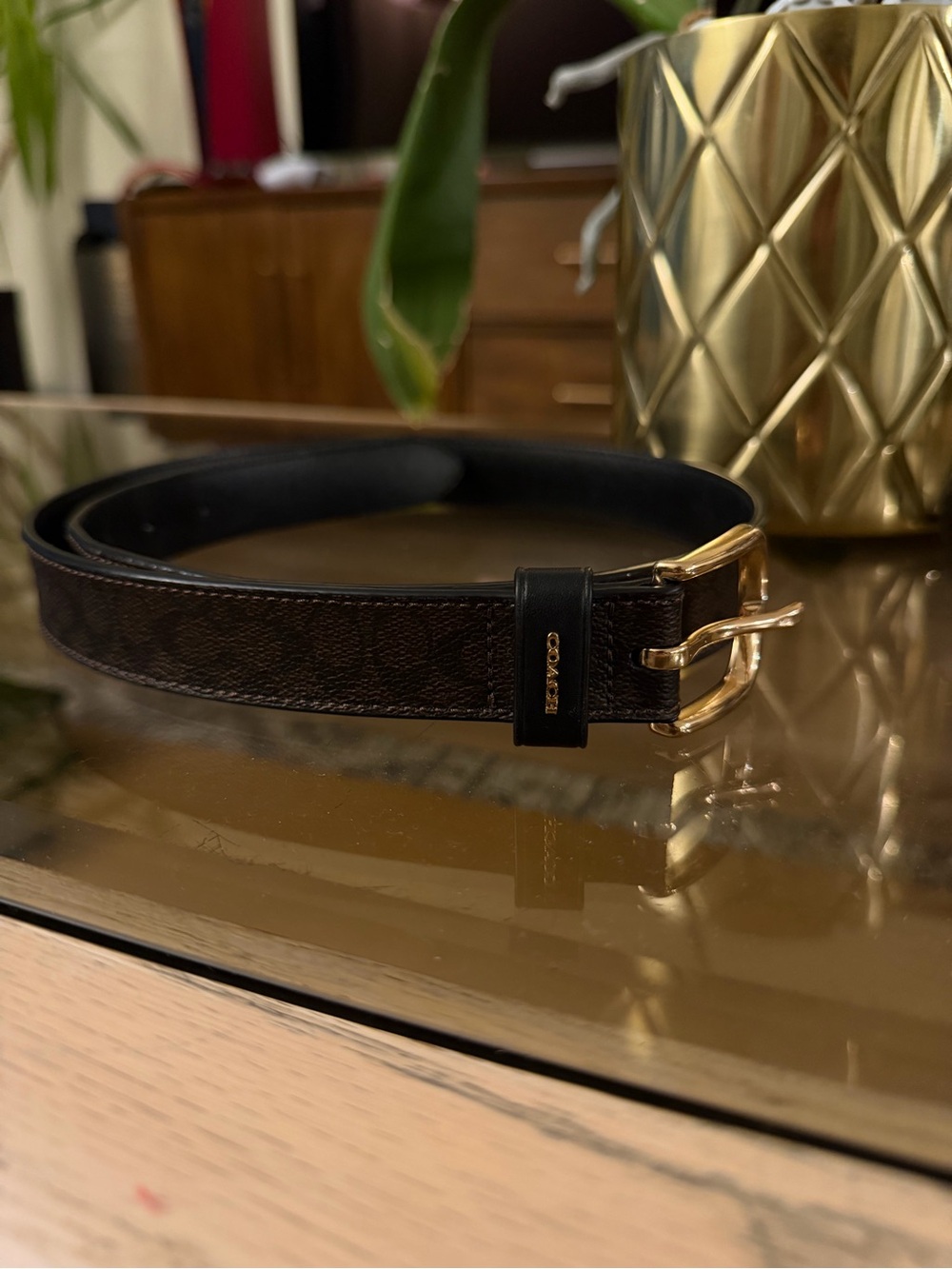 Coach Signature Canvas Brown Leather Belt with Gold Buckle